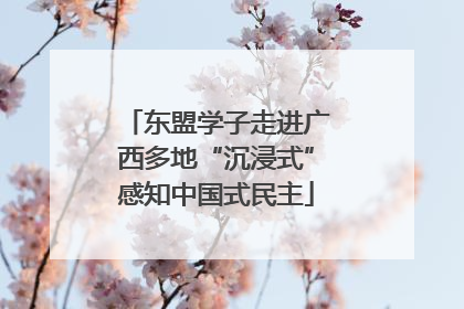 东盟学子走进广西多地“沉浸式”感知中国式民主