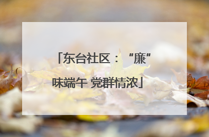 东台社区：“廉”味端午 党群情浓