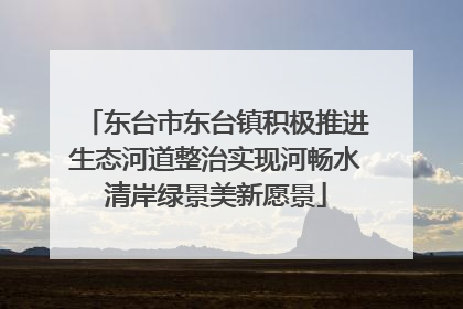 东台市东台镇积极推进生态河道整治实现河畅水清岸绿景美新愿景
