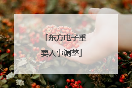 东方电子重要人事调整