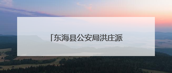 东海县公安局洪庄派出所：“五勤织网法”构建乡村治理新格局