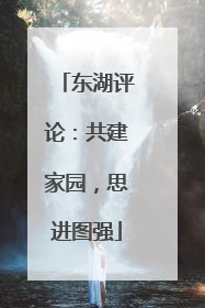 东湖评论：共建家园，思进图强
