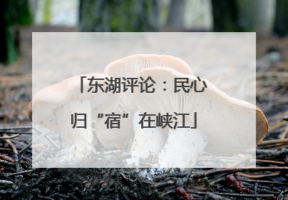 东湖评论：民心归“宿”在峡江
