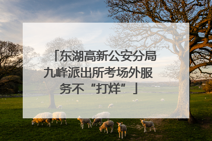 东湖高新公安分局九峰派出所考场外服务不“打烊”