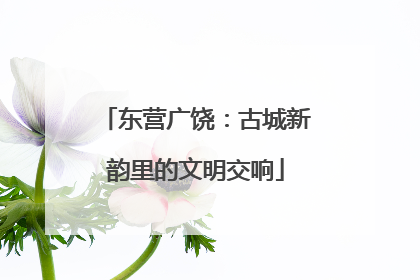 东营广饶：古城新韵里的文明交响