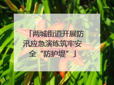 两城街道开展防汛应急演练筑牢安全“防护堤”