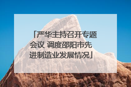 严华主持召开专题会议 调度邵阳市先进制造业发展情况