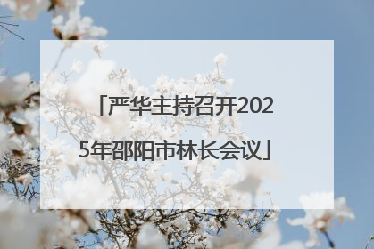 严华主持召开2025年邵阳市林长会议
