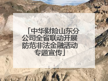中华财险山东分公司全省联动开展防范非法金融活动专题宣传