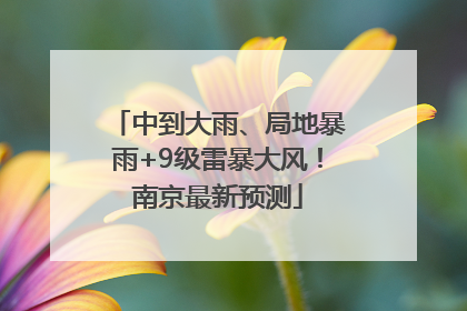 中到大雨、局地暴雨+9级雷暴大风！南京最新预测