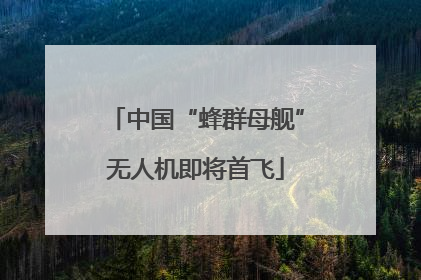 中国“蜂群母舰”无人机即将首飞