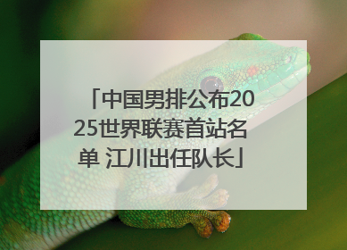 中国男排公布2025世界联赛首站名单 江川出任队长