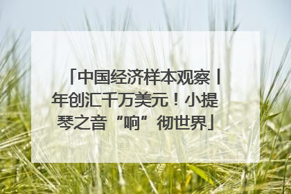 中国经济样本观察丨年创汇千万美元！小提琴之音“响”彻世界