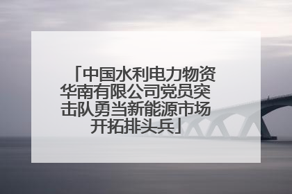 中国水利电力物资华南有限公司党员突击队勇当新能源市场开拓排头兵