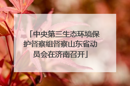 中央第三生态环境保护督察组督察山东省动员会在济南召开