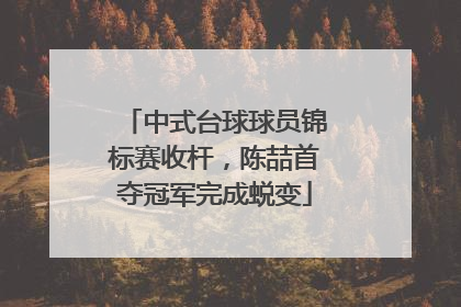 中式台球球员锦标赛收杆，陈喆首夺冠军完成蜕变
