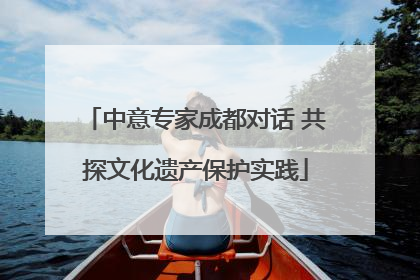 中意专家成都对话 共探文化遗产保护实践