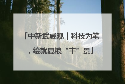 中新武威观｜科技为笔，绘就夏粮“丰”景
