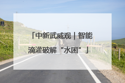 中新武威观｜智能滴灌破解“水困”