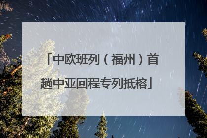 中欧班列（福州）首趟中亚回程专列抵榕