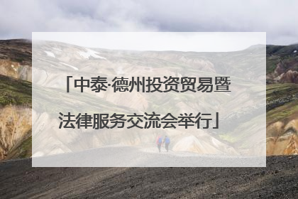 中泰·德州投资贸易暨法律服务交流会举行
