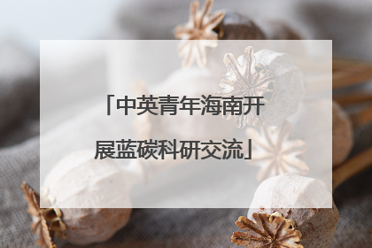 中英青年海南开展蓝碳科研交流