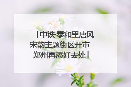 中铁·泰和里唐风宋韵主题街区开市 郑州再添好去处