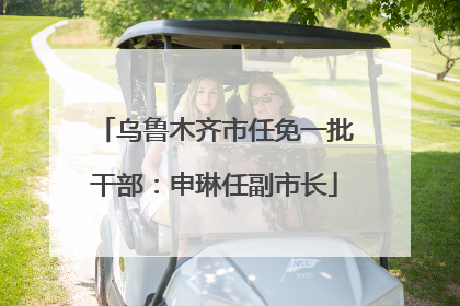 乌鲁木齐市任免一批干部：申琳任副市长