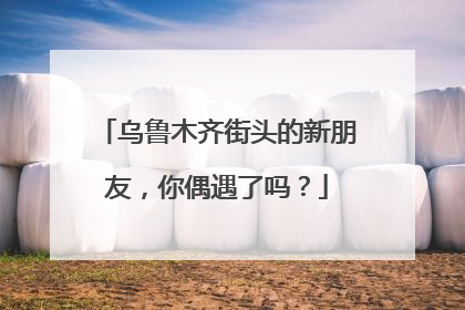 乌鲁木齐街头的新朋友，你偶遇了吗？