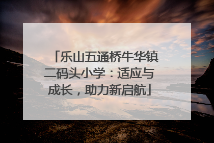 乐山五通桥牛华镇二码头小学：适应与成长，助力新启航