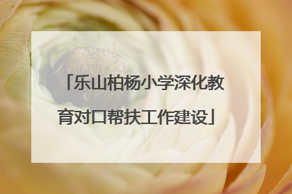 乐山柏杨小学深化教育对口帮扶工作建设
