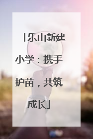 乐山新建小学：携手护苗，共筑成长