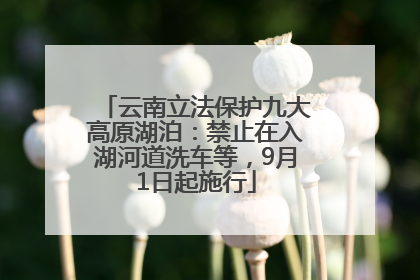 云南立法保护九大高原湖泊：禁止在入湖河道洗车等，9月1日起施行