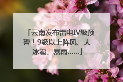 云南发布雷电Ⅳ级预警！9级以上阵风、大冰雹、暴雨……