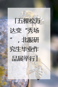 五棵松万达变“秀场”，北服研究生毕业作品展举行