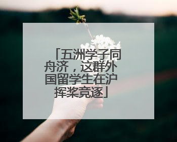 五洲学子同舟济，这群外国留学生在沪挥桨竞逐
