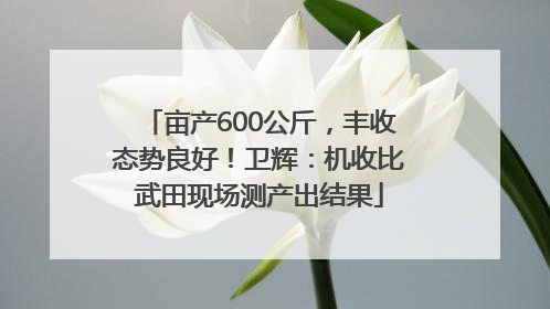 亩产600公斤，丰收态势良好！卫辉：机收比武田现场测产出结果