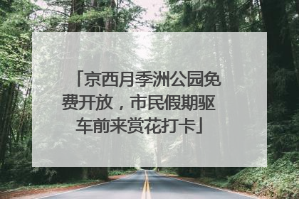 京西月季洲公园免费开放，市民假期驱车前来赏花打卡