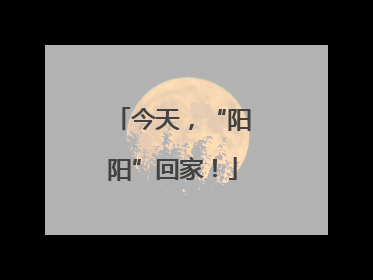 今天，“阳阳”回家！
