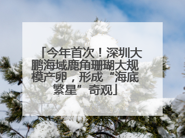今年首次！深圳大鹏海域鹿角珊瑚大规模产卵，形成“海底繁星”奇观