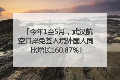 今年1至5月，武汉航空口岸免签入境外国人同比增长160.87%