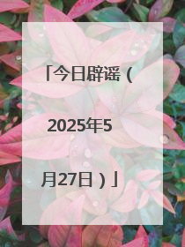 今日辟谣（2025年5月27日）
