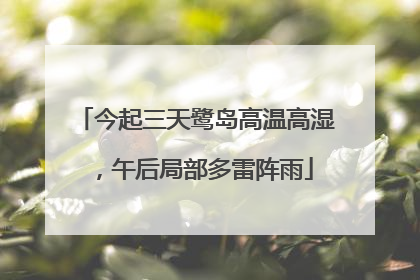 今起三天鹭岛高温高湿，午后局部多雷阵雨