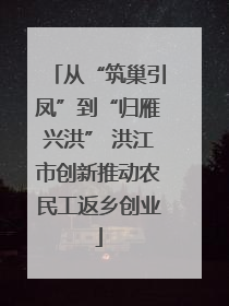 从“筑巢引凤”到“归雁兴洪” 洪江市创新推动农民工返乡创业