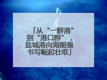 从“一群港”到“港口群”，盐城港向海图强书写崛起壮歌