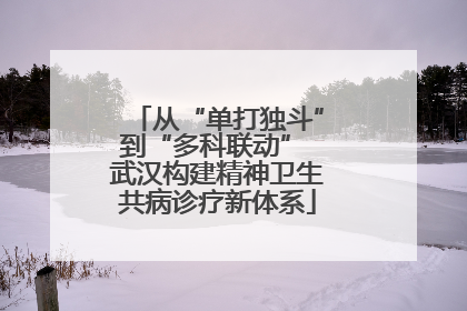 从“单打独斗”到“多科联动” 武汉构建精神卫生共病诊疗新体系