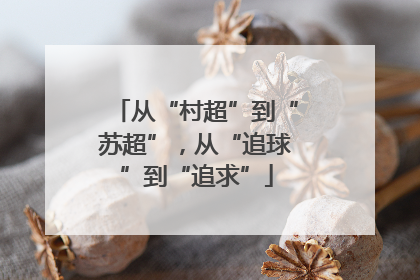 从“村超”到“苏超”，从“追球”到“追求”