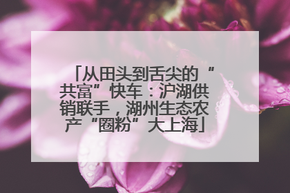从田头到舌尖的“共富”快车：沪湖供销联手，湖州生态农产“圈粉”大上海
