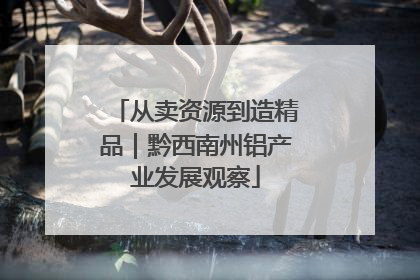 从卖资源到造精品｜黔西南州铝产业发展观察