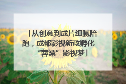 从创意到成片细腻陪跑，成都影视新政孵化“蓉漂”影视梦
